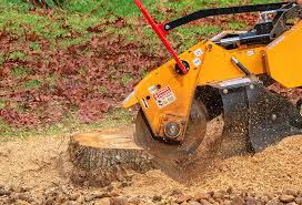 Best Lawn Maintenance Plans  in Westminster, MD